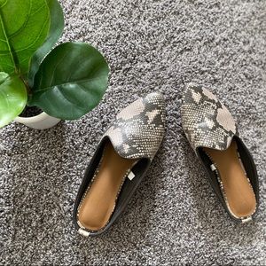 Women's Violet Mules - Target